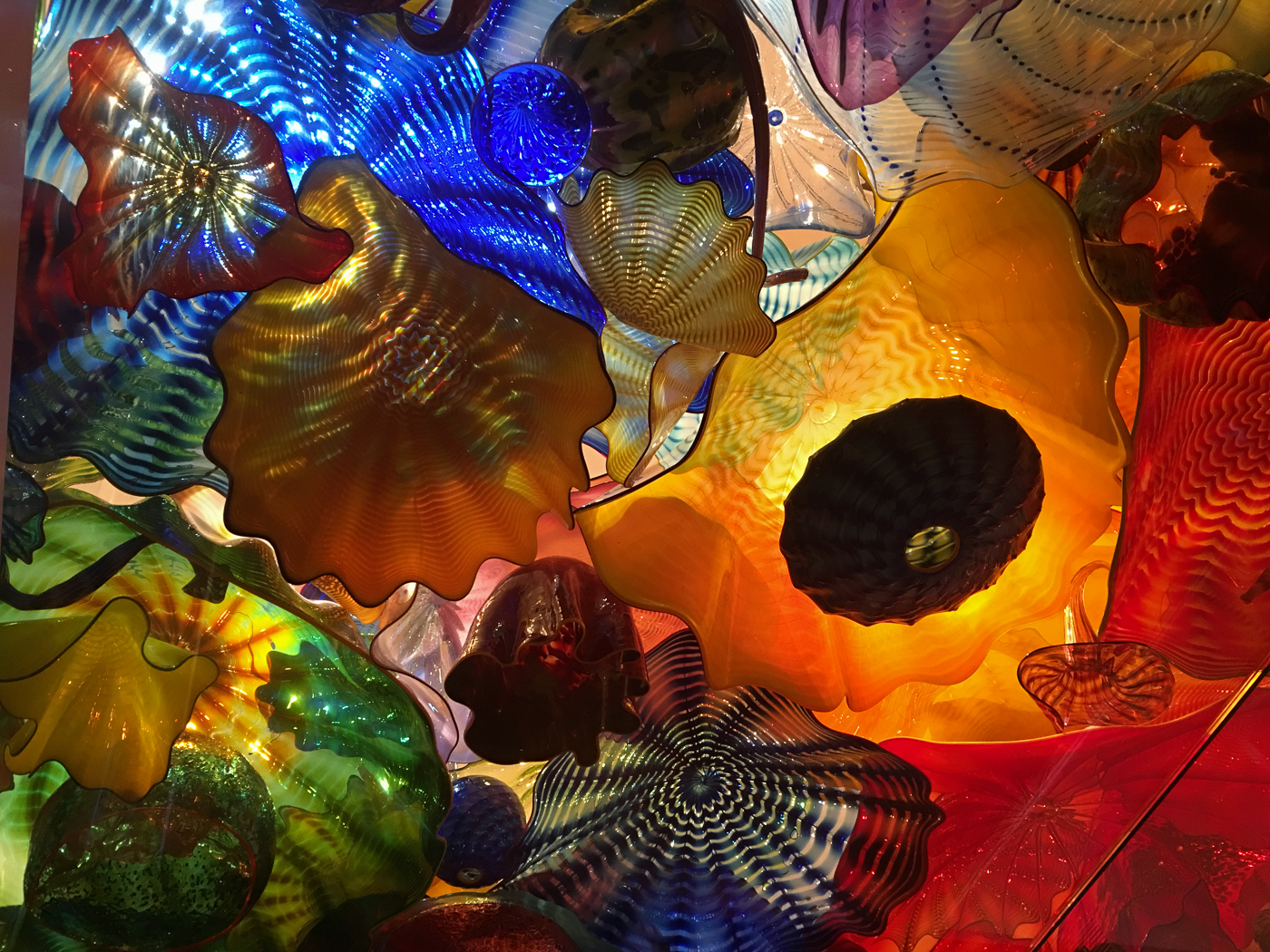 3rd PrizeOpen Color In Class 1 By Kathy Chartier For Chihuly Glass AUG-2020.jpg